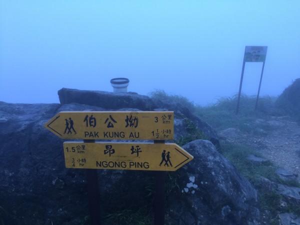 跳出深坑