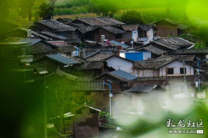 探索宝宝巴士游戏 安装,发现无限乐趣!