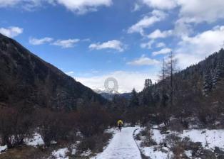 企业合规师考试网:3月30日考！企业合规师含金量诱惑力好高！