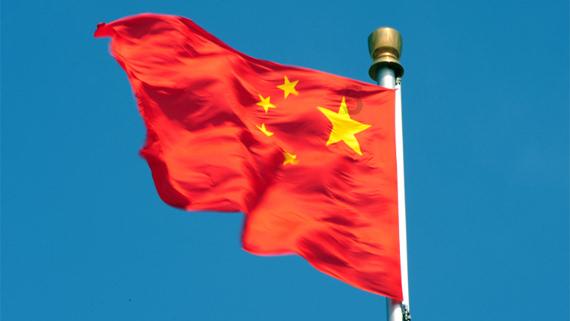 植物大战僵尸6